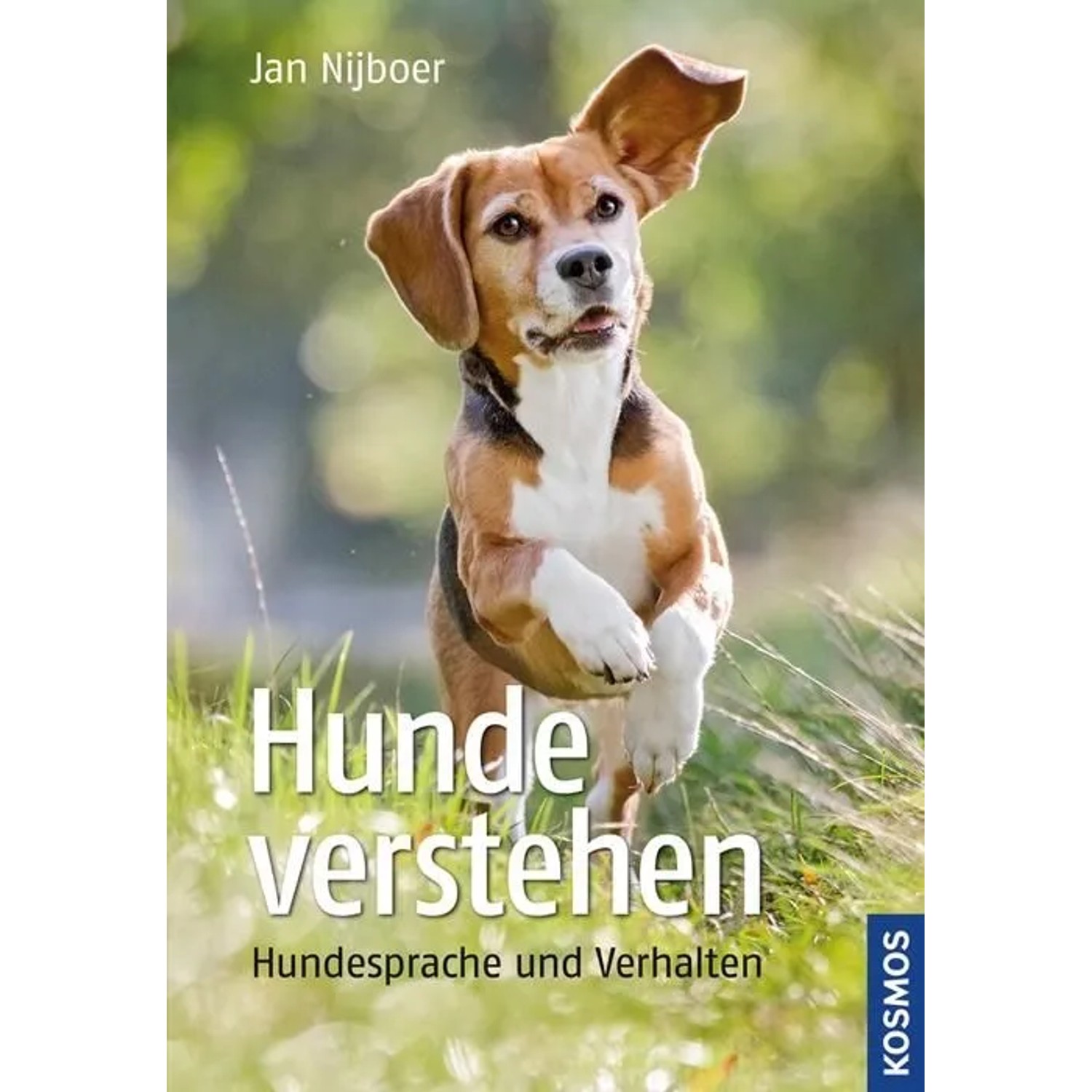 Hunde verstehen