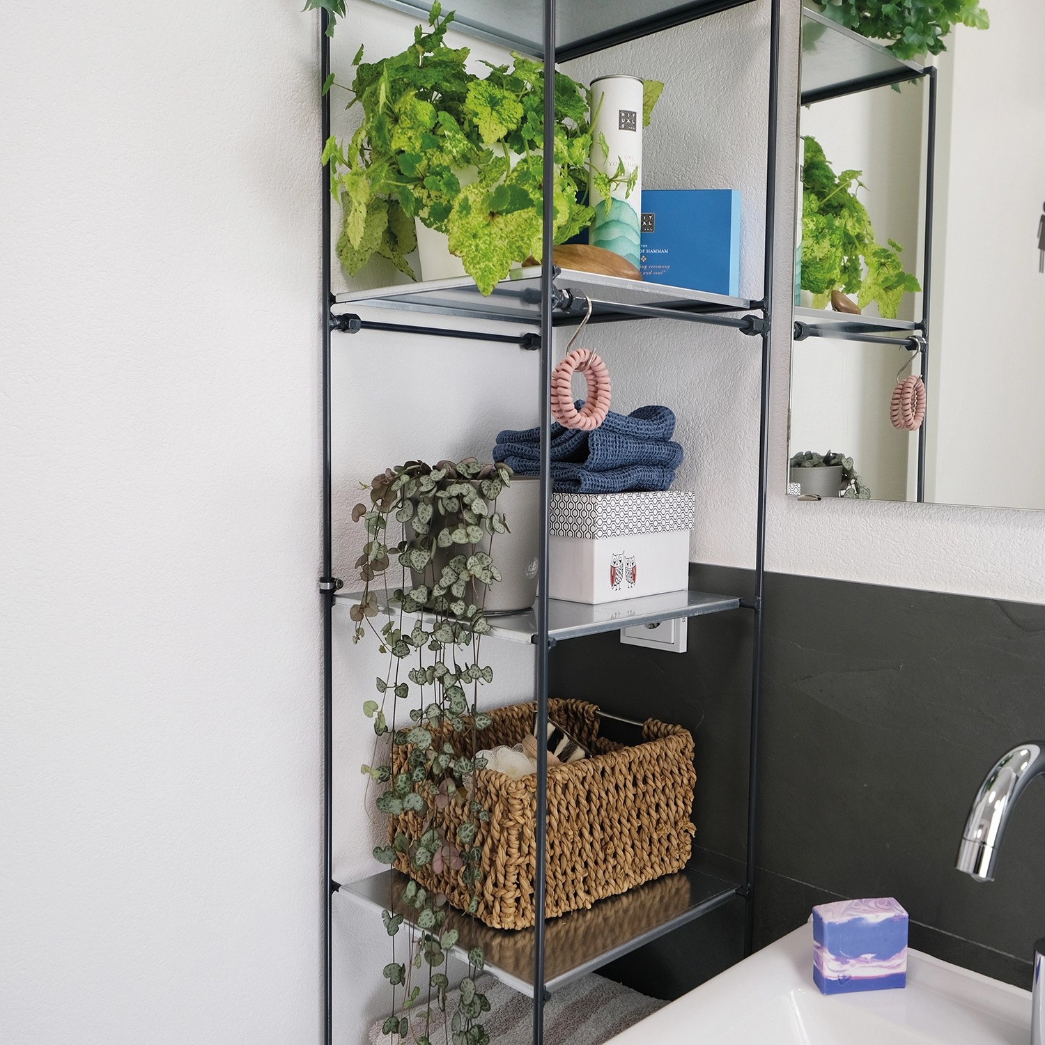 Bellissa Vertikales Pflanzregal Filo 1x6 mit Pflanzen und Deko im Badezimmer.
