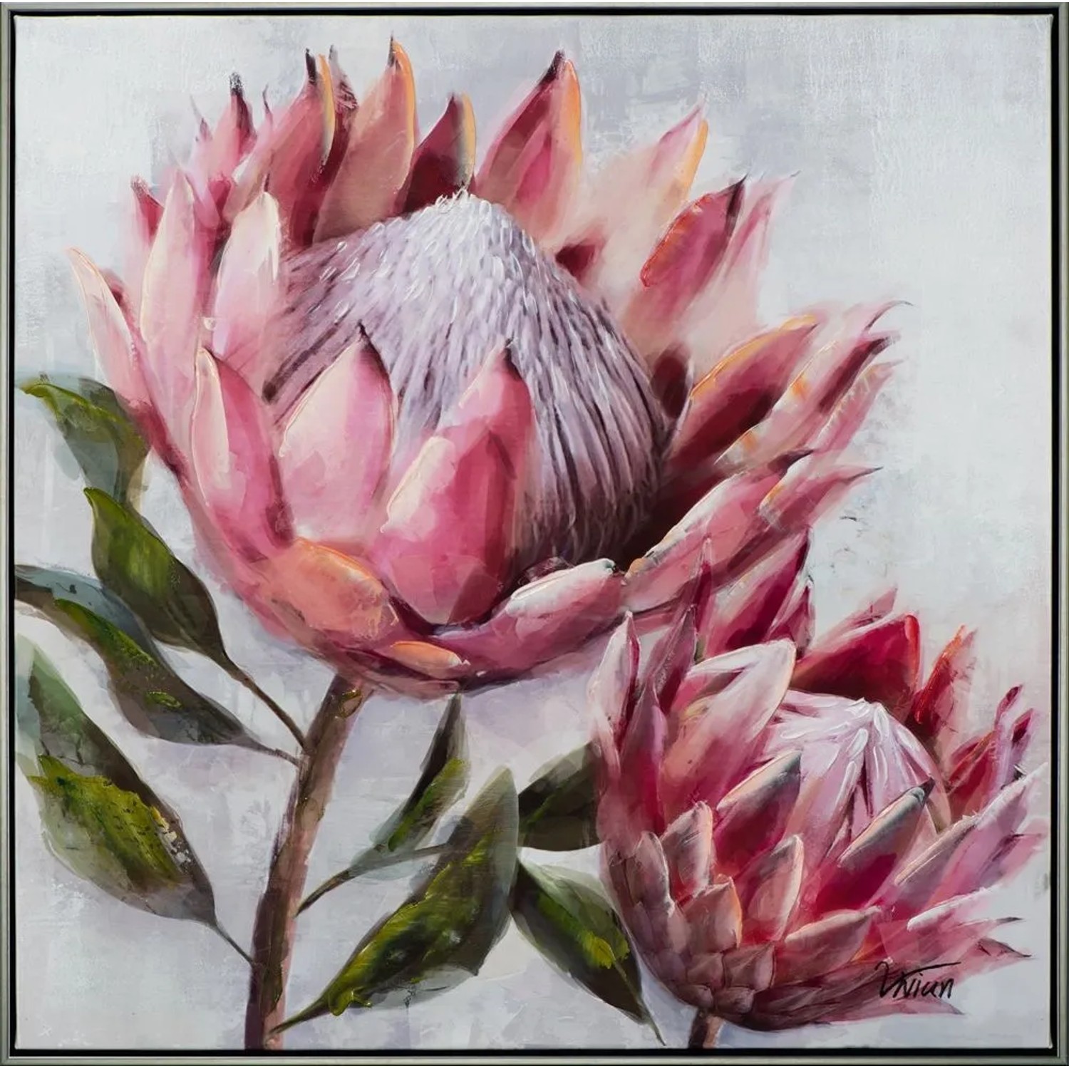 Art Universe Leinwandbild Hübsche Protea 72 x 72 cm