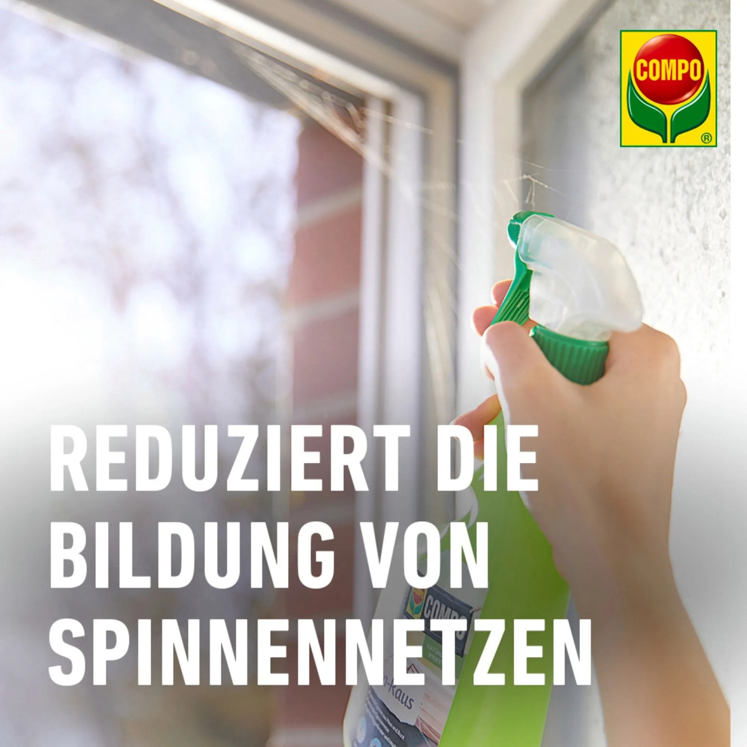 Anwendung von Compo Spinnen-Raus Spray gegen Spinnen am Fensterrahmen.