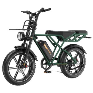 RCB G19 E-bike 20×4,0Zoll 22,5Ah Akku Reichweite 120-130KM 250W 7-Gang APP NFC