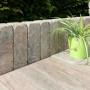 Diephaus Mauerstein Collo Muschelkalk als Gartenmauer und Palisade mit Pflanze im Topf.
