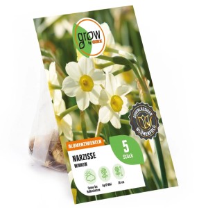 GROW by OBI Narzisse Minnow Gelb-Weiß 5 Stück Narcissus tazetta Minnow