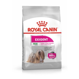 Royal Canin Exigent Mini Trockenfutter 3 kg für wählerische kleine Hunde. Weiße Packung mit rotem Logo und Hundebild.