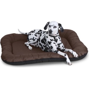 Braunes, wasserfestes Knuffelwuff Hundebett Lucky XL mit Dalmatiner Hund im Innen- und Außenbereich.