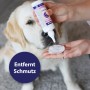 Canosept Augenpflege-Pads für Hunde in Anwendung: Reinigung der Augenpartie eines hellen Hundes.