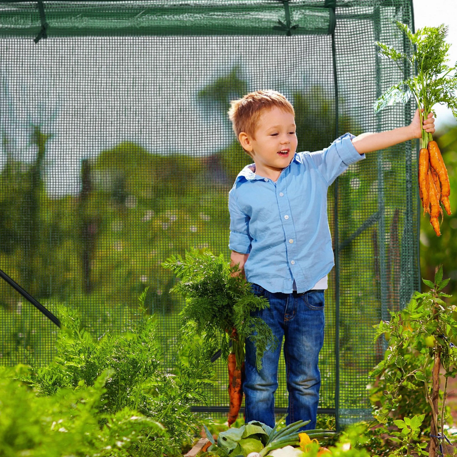 Glückliches Kind mit geernteten Karotten vor grünem Relaxdays Tomatengewächshaus im Garten.
