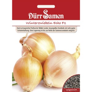 Dürr Samen Winterzwiebeln Echo F1: Saatgutpackung mit braungelben Zwiebeln.