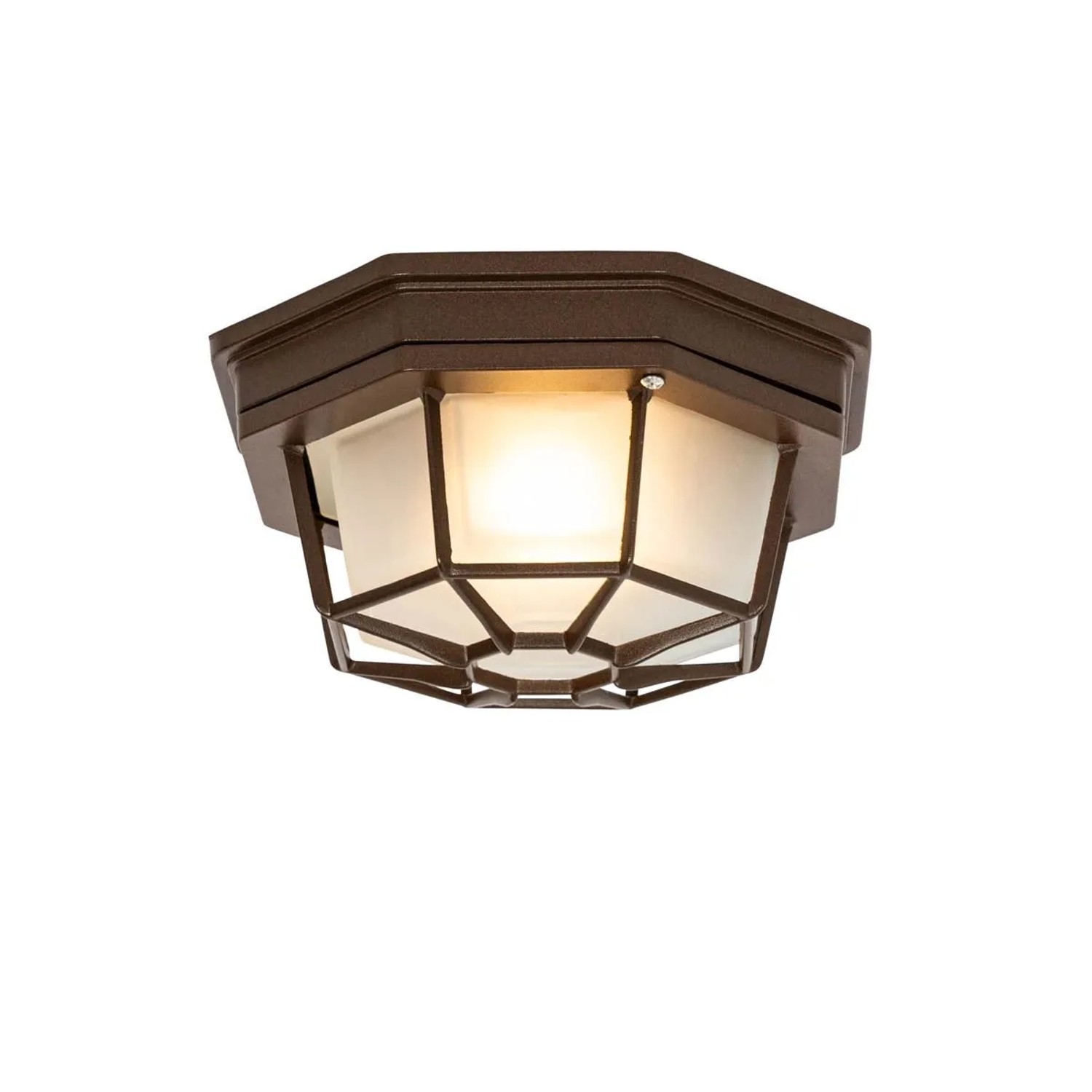 QAZQA Rustikale Deckenleuchte RostBraun 21,3 cm IP44 Bri