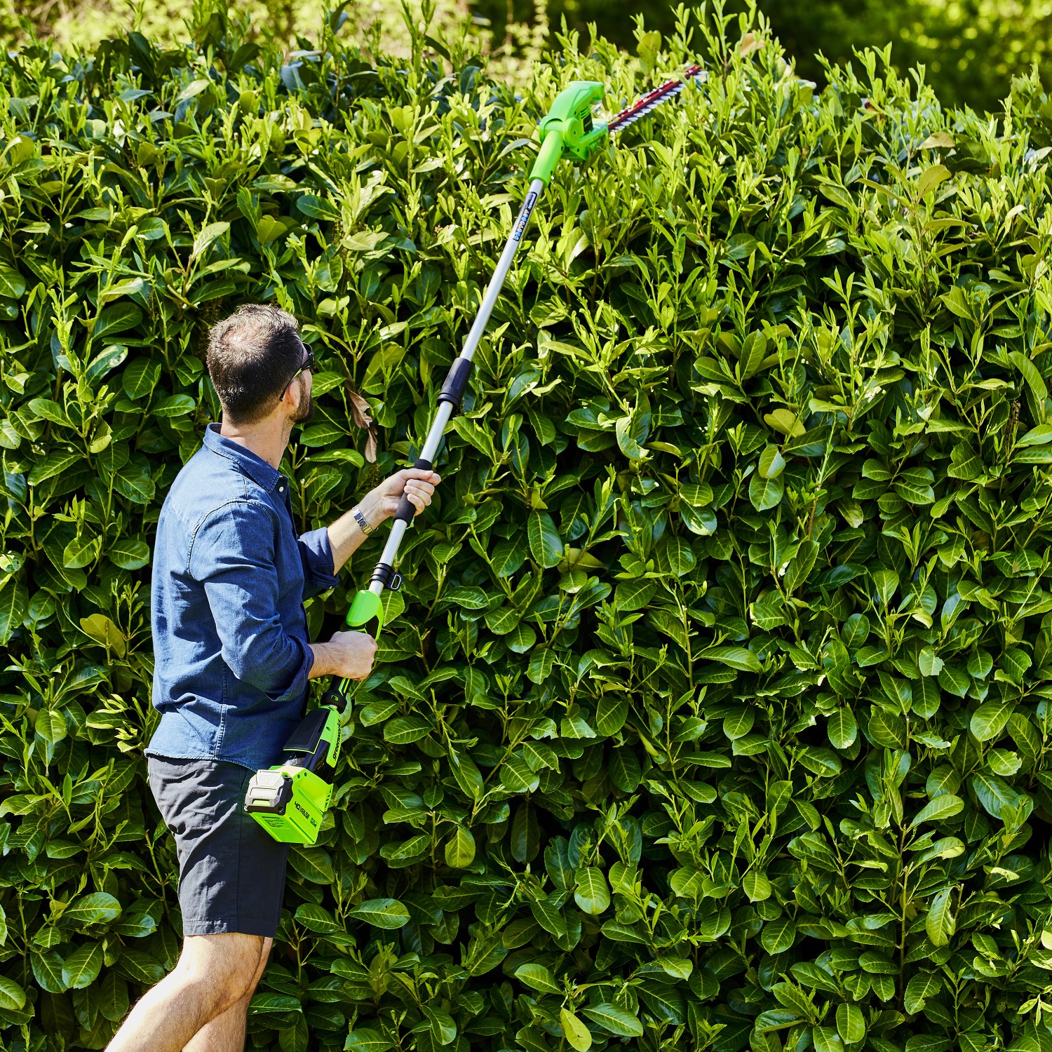Mann schneidet Hecke mit Greenworks Akku-Teleskop-Heckenschere G40PHA. Die Akku-Heckenschere ist grün.