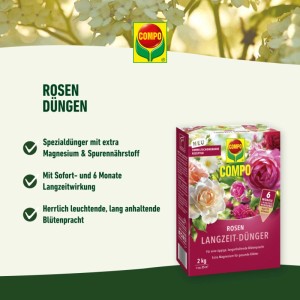 Compo Rosen Langzeit-Dünger, pinke Packung mit bunten Rosen, 6 Monate Wirkung, für prächtige Blüten.