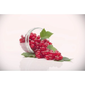 Rote Johannisbeeren der Sorte Jonkheer van Tets in einem Glas, GROW by OBI Bio.