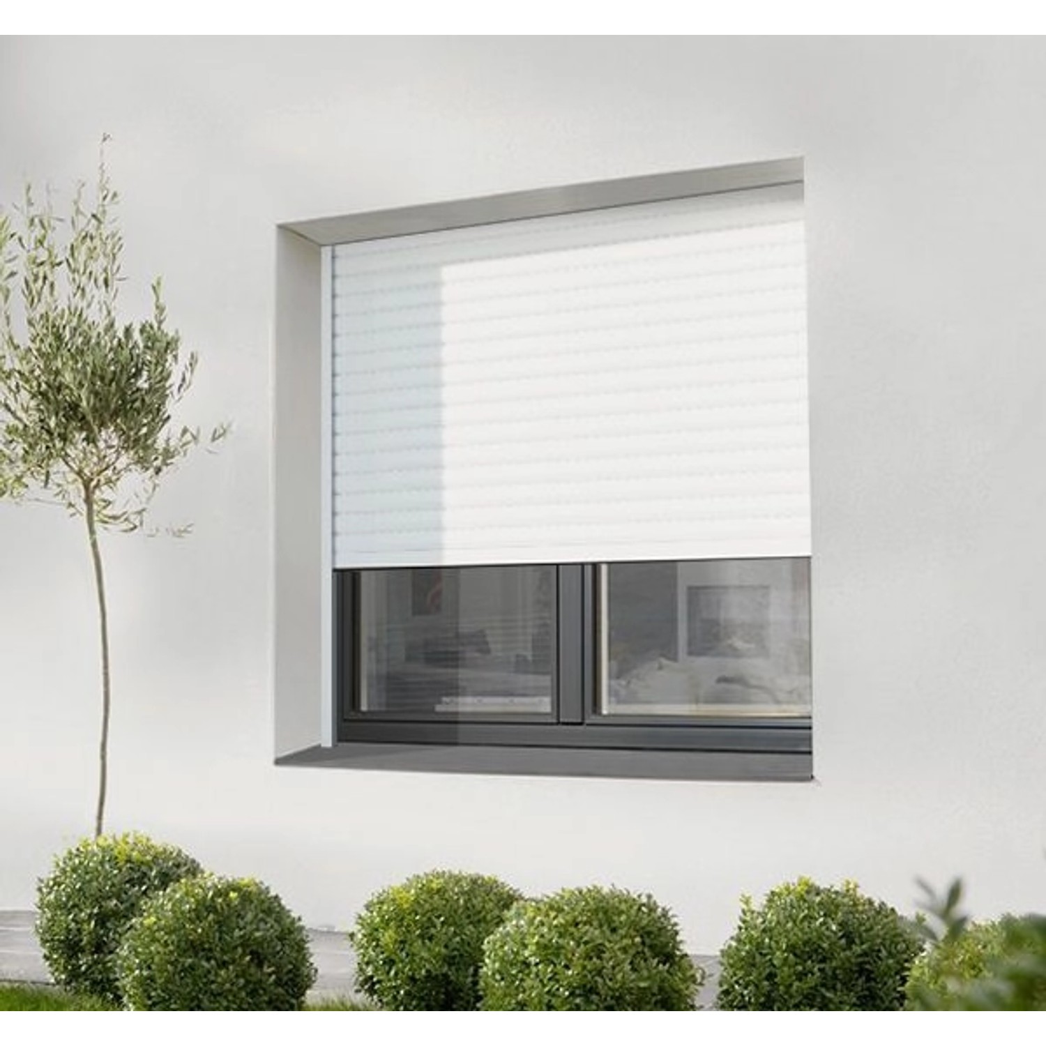 Weißer Rollladen mit Avosdim Einlauftrichter für SDZ Rollläden am Fenster.