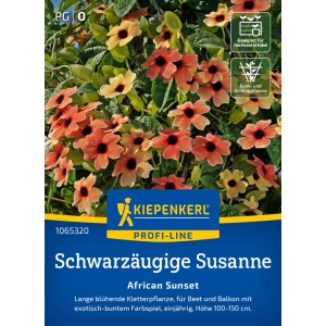 Kiepenkerl Saatgut Schwarzäugige Susanne African Sunset