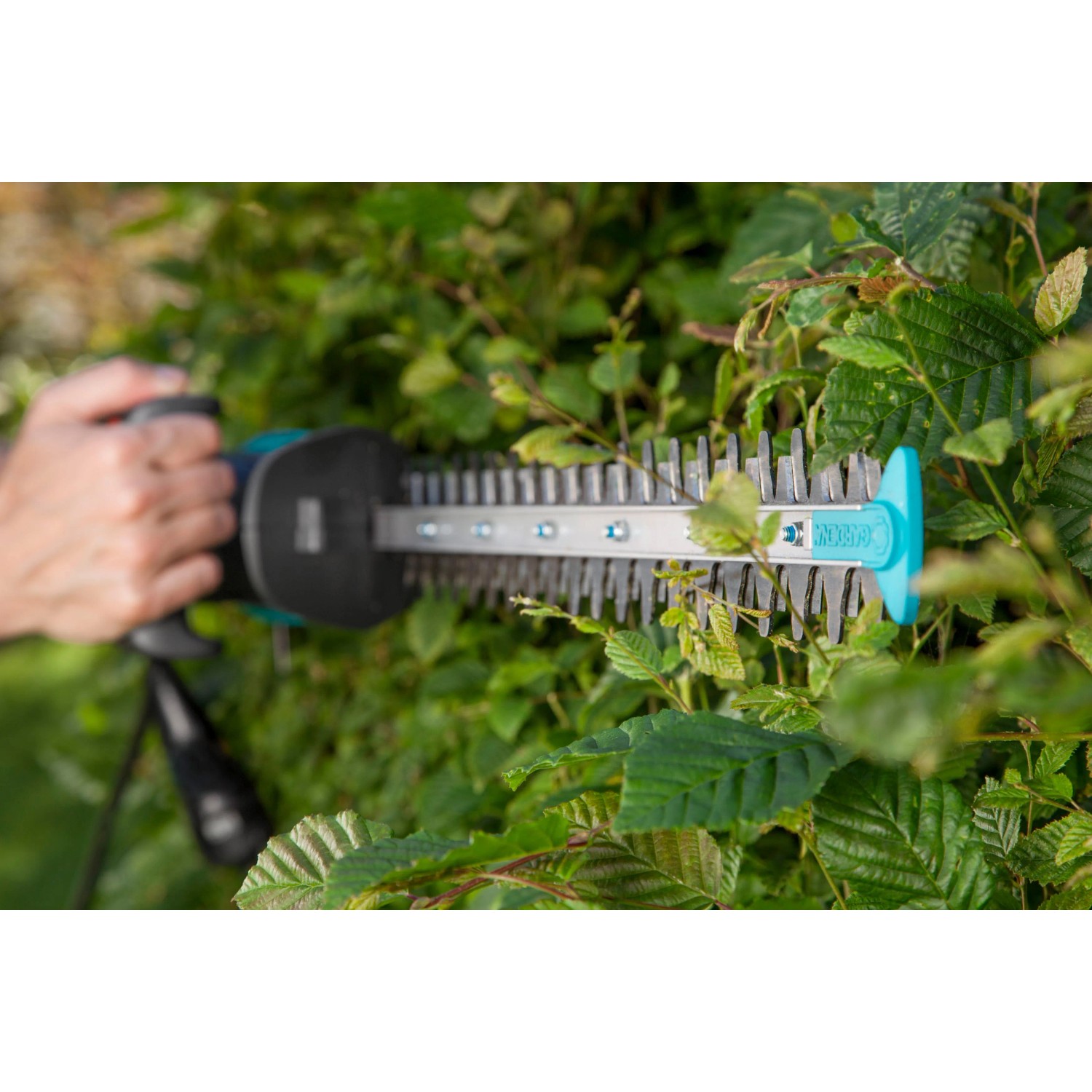 Gardena Elektro-Heckenschere EasyCut 420/45 im Einsatz beim Heckenschnitt.