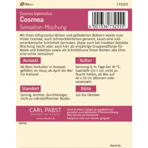Pabst Keimkraft Cosmea Sensation-Mischung Saatgut für ca. 70 Pflanzen.
