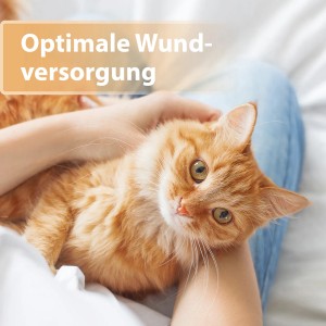 Rote Katze wird gehalten, Felisept Wundgel für Katzen zur Wundversorgung.