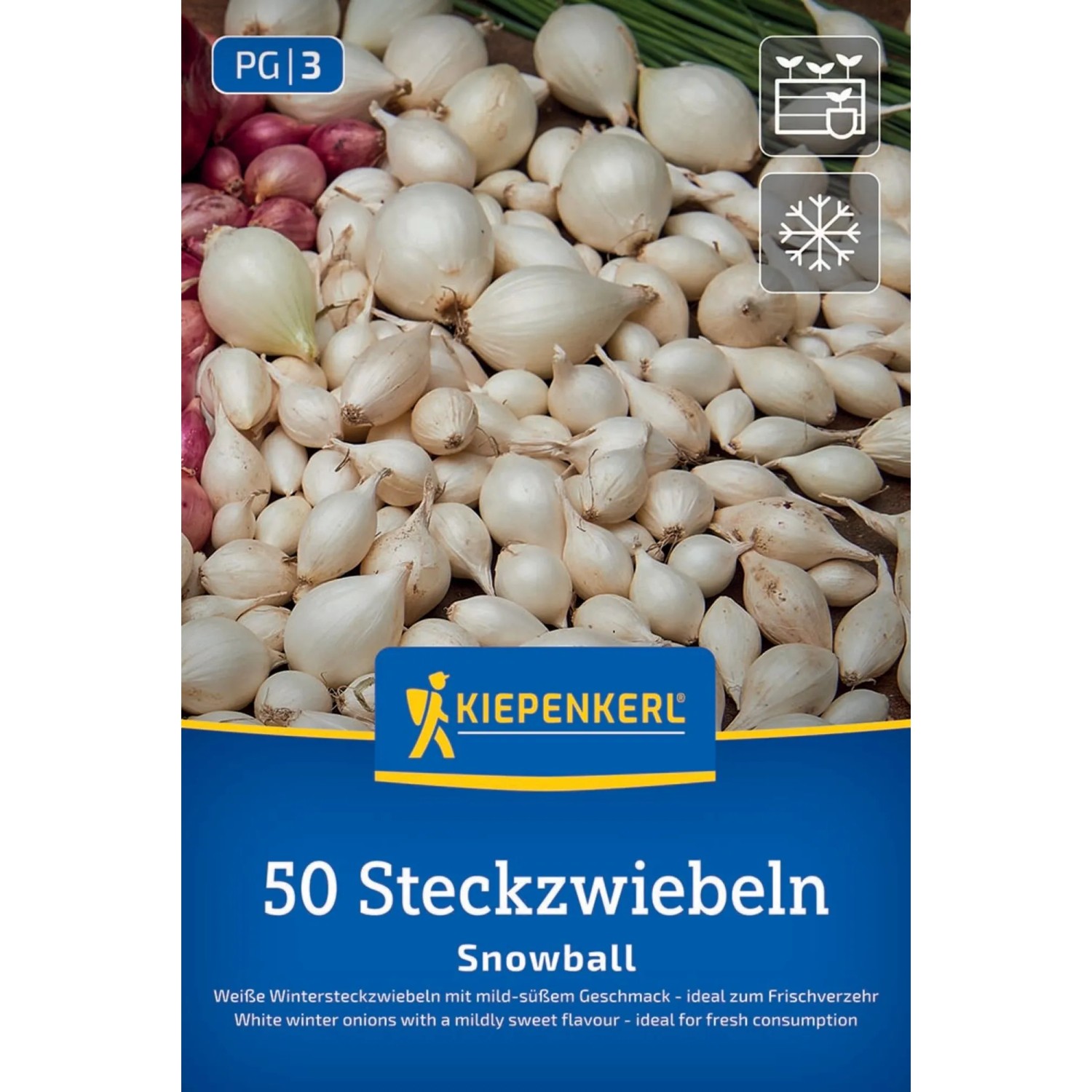 Kiepenkerl Steckzwiebeln Wintersteckzwiebel Snowball - weiß 50 Stück