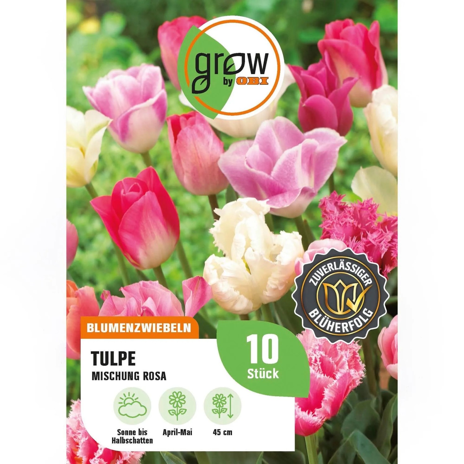 GROW by OBI Tulpen Triumph Mischung Rosa 8 Stück Tulipa triumph Mixed Rosa