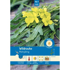 Pabst Keimkraft Wildrauke Saatgut mit gelben Blüten und grünen Blättern.