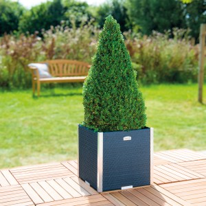 Anthrazitfarbener Wilk Polyrattan Pflanzkübel 46x46 cm mit Alu-Beschlägen und grüner Pflanze.