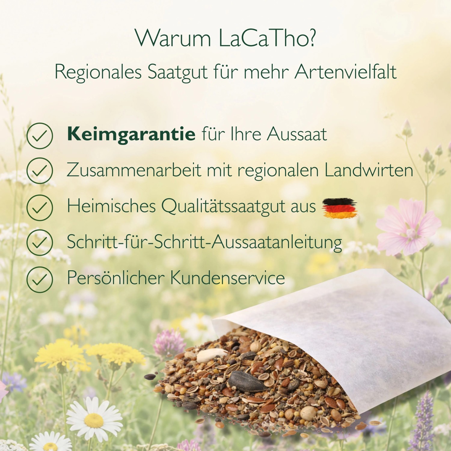 LaCaTho Veitshöchheimer Bienenweide Samen in Tüte auf Blumenwiese. Vorteile: Keimgarantie, Qualitätssaatgut, Artenvielfalt.