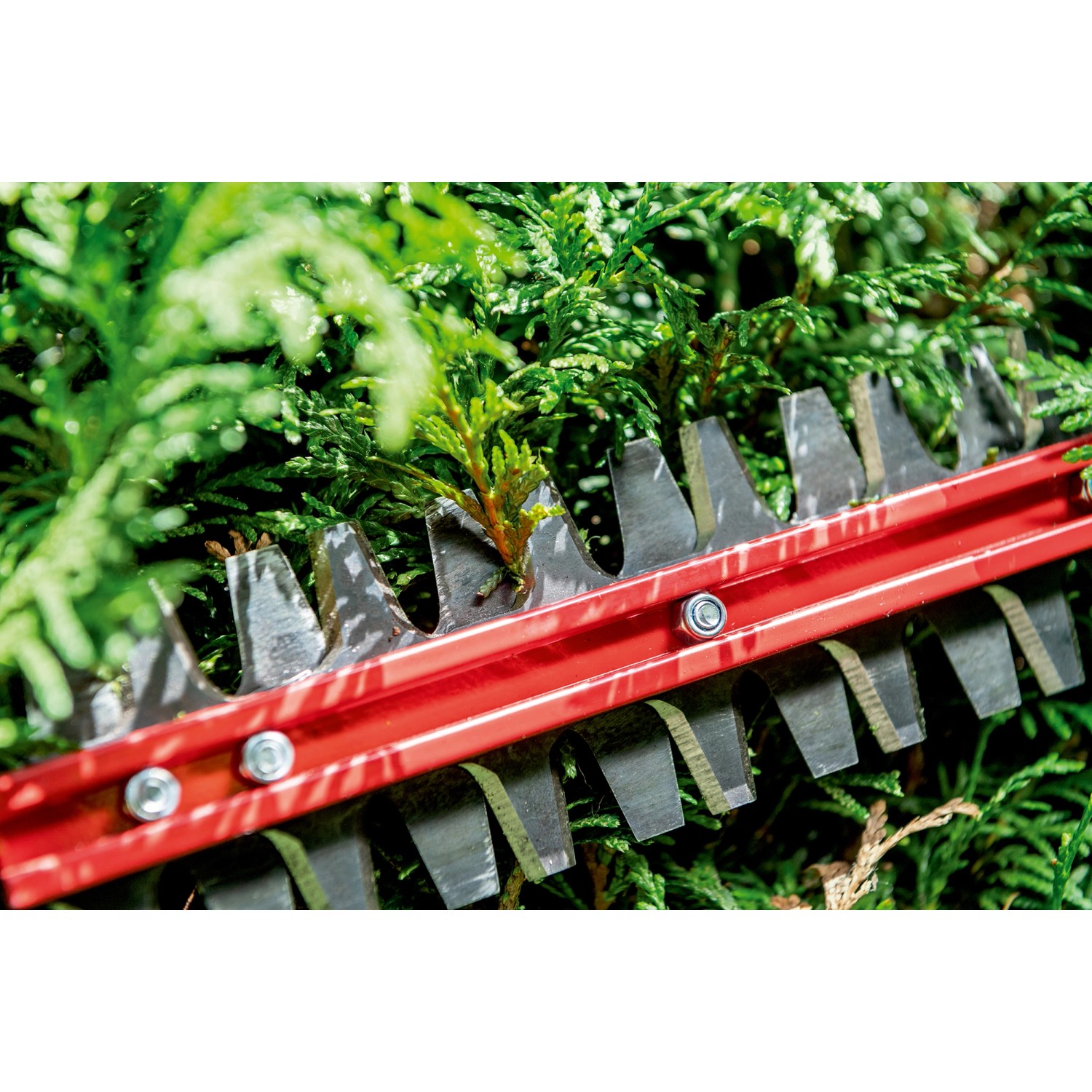 metabo AkkuHeckenschere HS 18 LTX BL 75 solo kaufen bei OBI