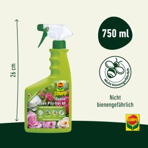 Compo Duaxo Rosen Pilz-frei AF 750ml: Fungizid-Spray gegen Pilzbefall an Rosen und Zierpflanzen.