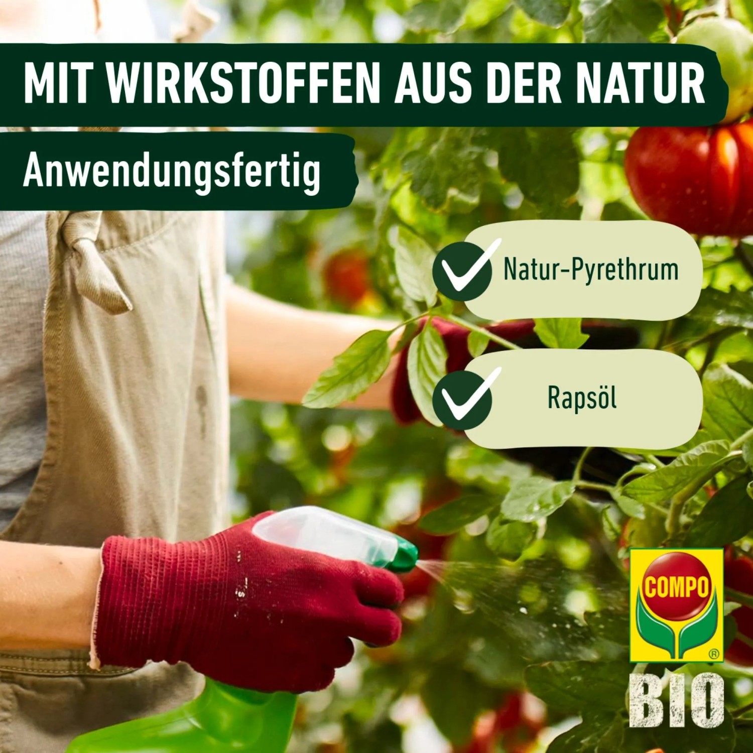 Anwendung von Compo Schädlingsfrei Plus AF gegen Blattläuse auf Pflanzen.