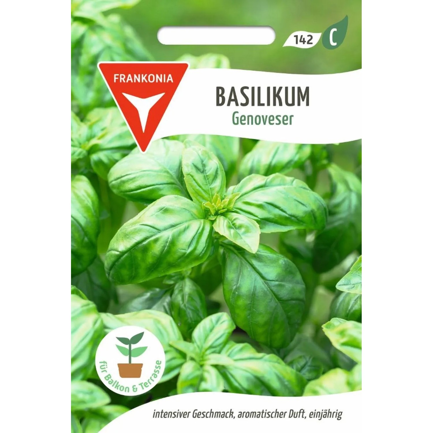 FRANKONIA Basilikum Genoveser