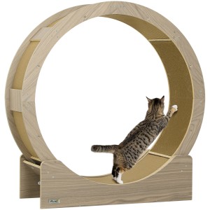 Katze benutzt PawHut Katzenlaufrad aus Holz und Wellpapier in Walnuss zum Agility Training.