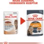 Royal Canin Hair & Skin Care Katzennassfutter in Gelee, 85g, für gesundes Fell.