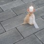 Diephaus Terrassenplatte Ruda Quarzit Holzstruktur, 40x20x6 cm, Pflasterstein mit Holzoptik.
