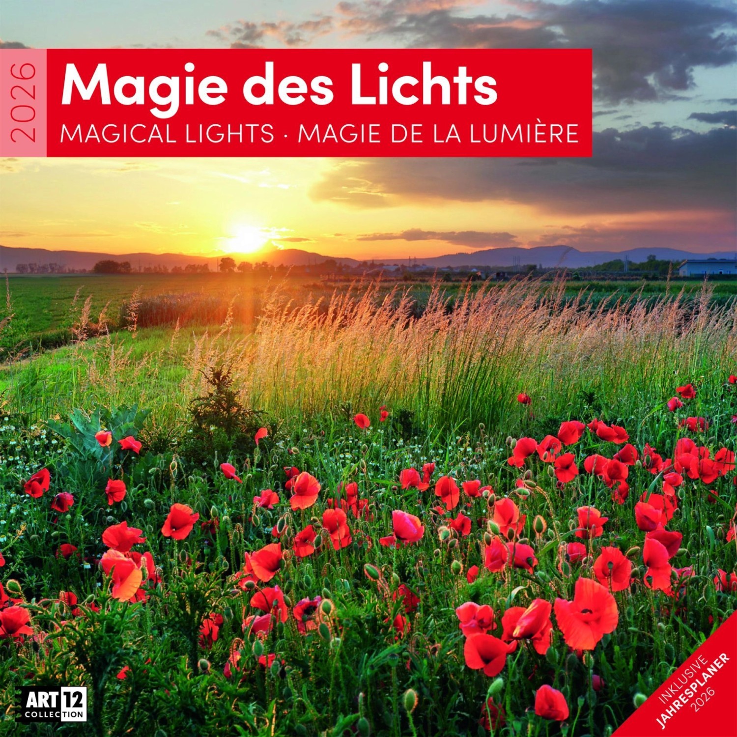 Magie des Lichts Kalender 2026 - 30x30 günstig online kaufen