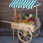 Promadino Marktwagen aus Kiefernholz mit weiß-grünem Baldachin, gefüllt mit Obst und Gemüse.