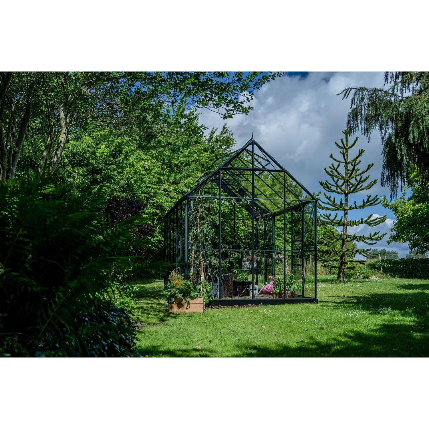 Freistehendes, grünes Halls Gewächshaus Icon Planthouse 8 im Garten.