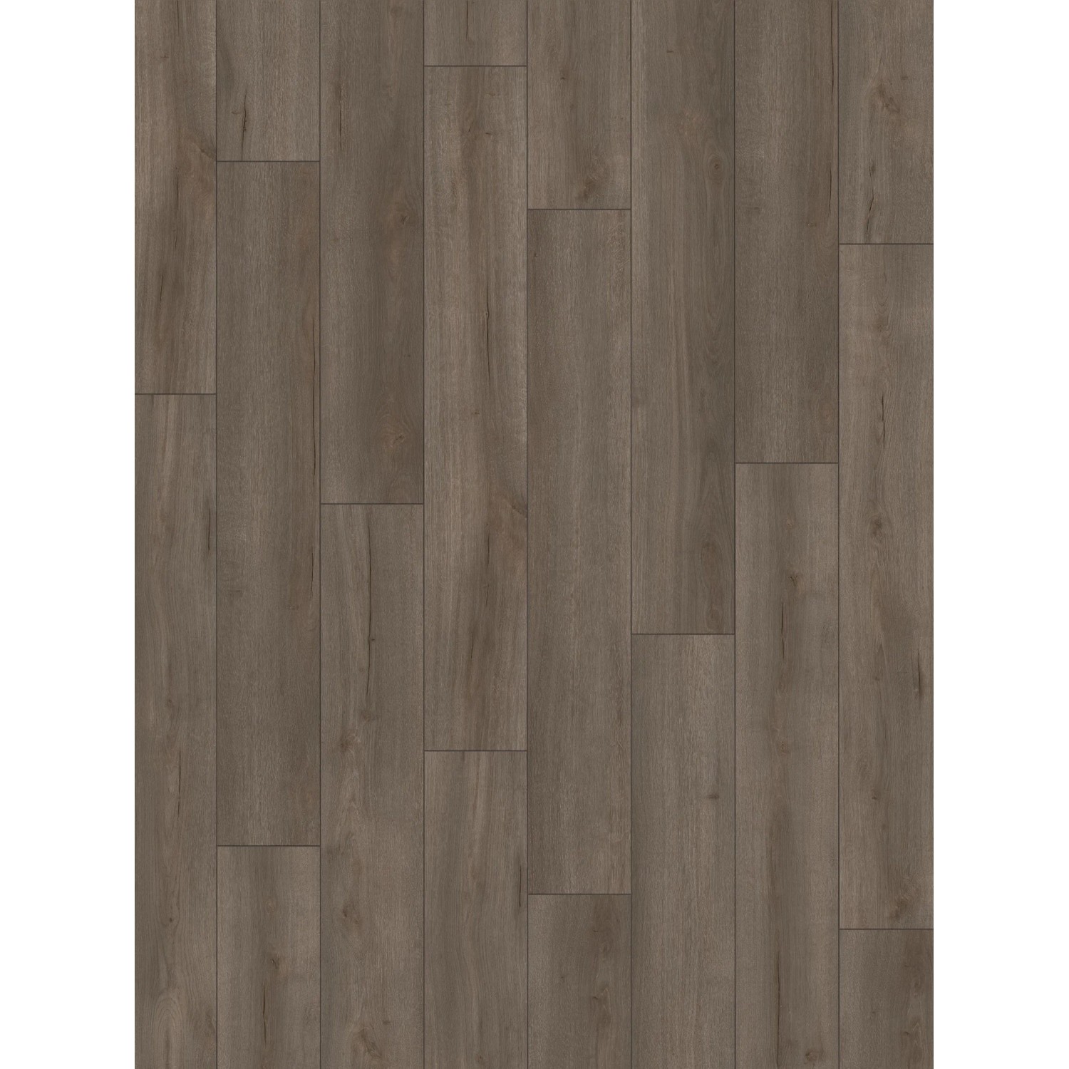 Parador Laminatbodenmuster Classic 1050 Eiche Loft Geräuchert Dunkelgrau