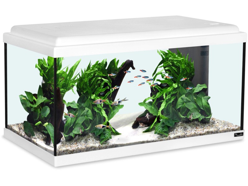 Aquatlantis Aquarium-Set Advance 60 Weiß OBI kaufen 48 l bei LED