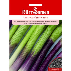 Dürr Samen Lauchzwiebeln Apache: Saatgut-Packung mit roten Lauchzwiebeln.