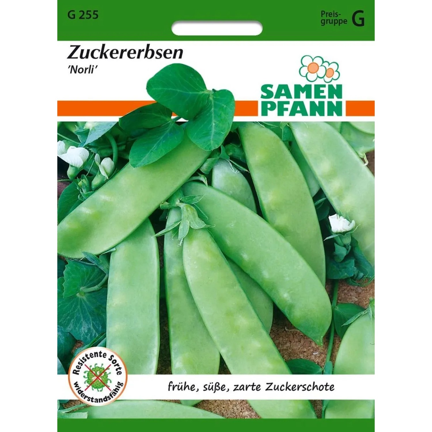 SAMEN PFANN Zuckererbse Norli