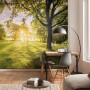 Komar Vlies Fototapete Golden Moment, 400x250 cm, mit Waldmotiv und Sonnenschein im Wohnraum.