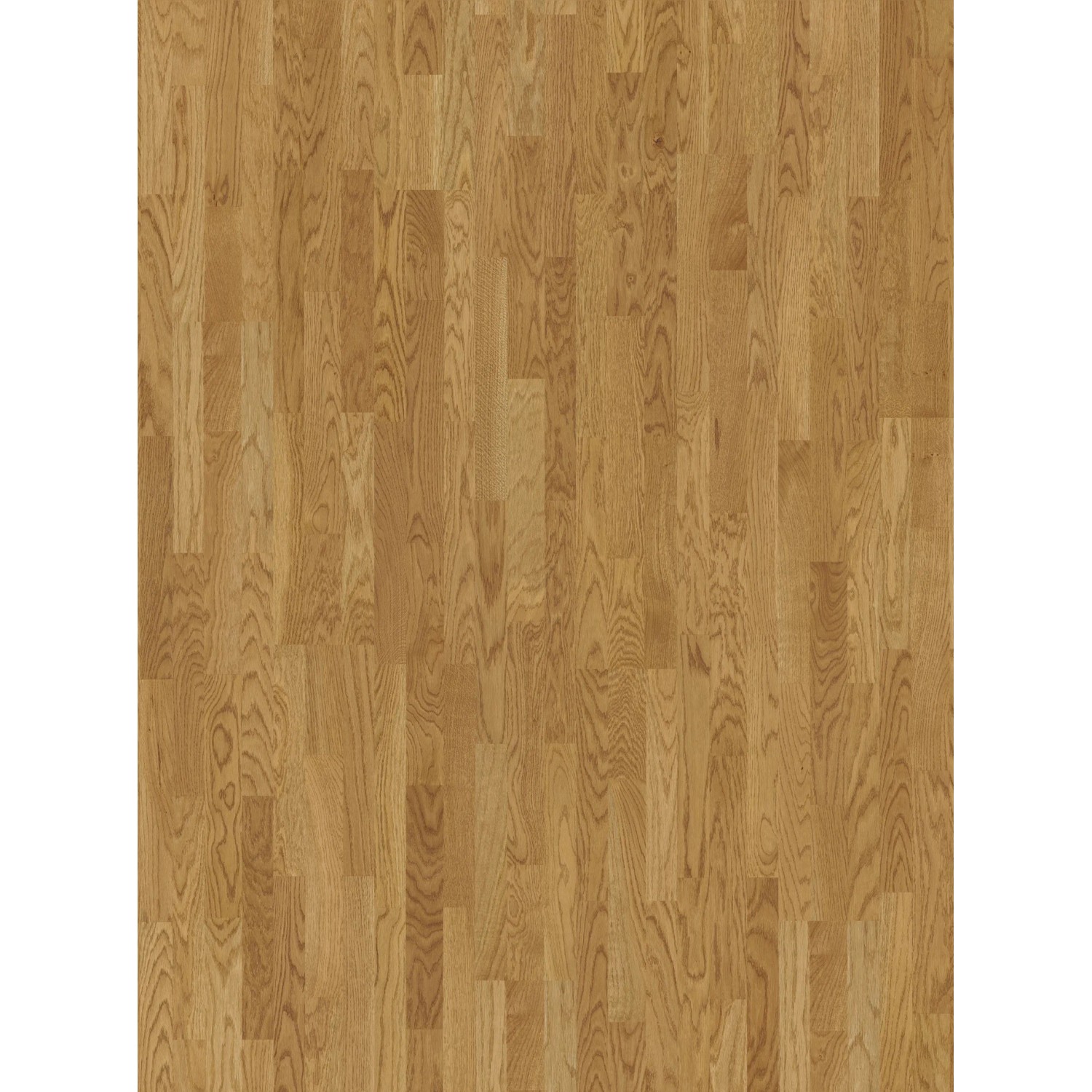 Parador Parkettmuster Basic Rustikal Eiche Malbec Natur Lackiert Matt