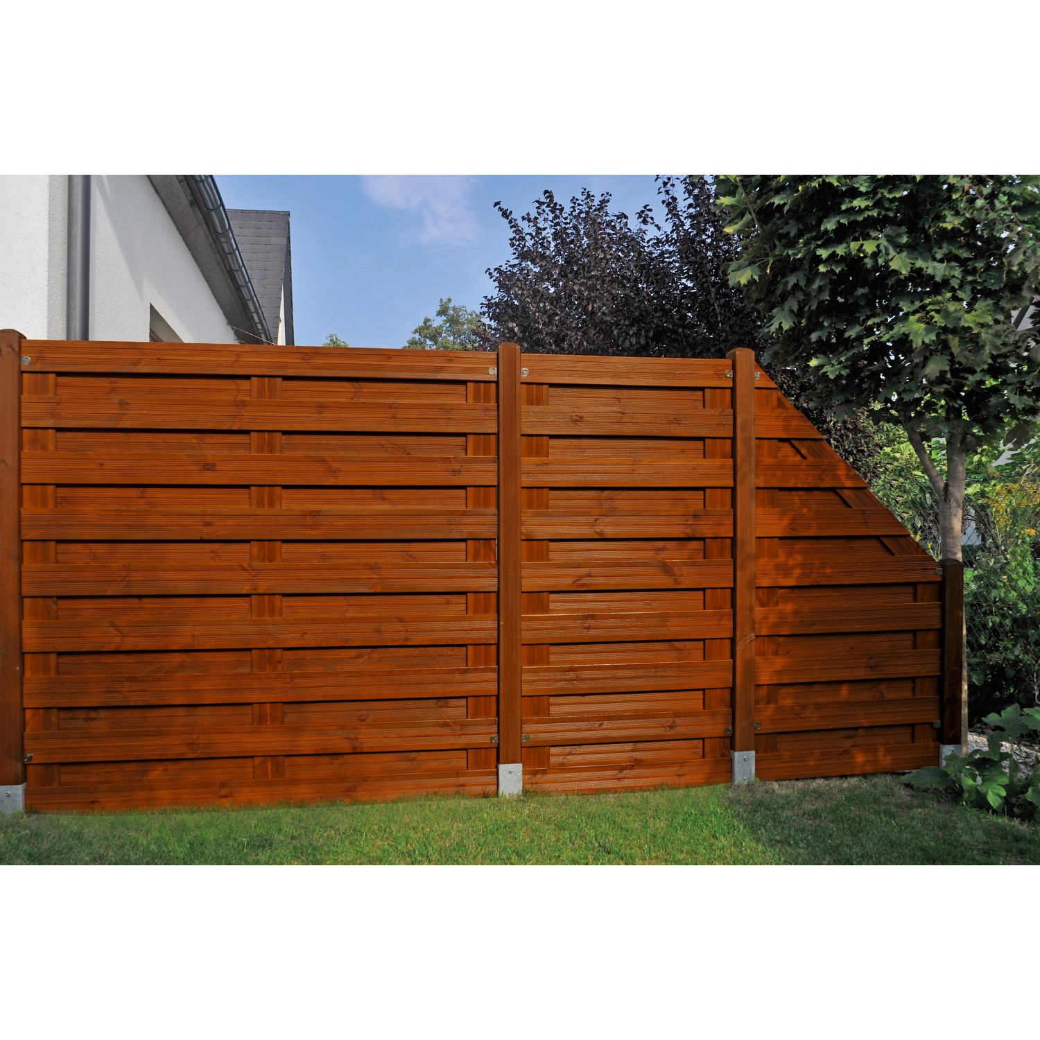 Sichtschutzzaun Goch, teakfarben lasiert, 180x90 cm, im Garten aufgebaut.
