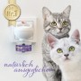 Felisept Family Comfort Raumdiffuser-Set mit Katzen und Stecker zur Beruhigung im Mehrkatzenhaushalt.