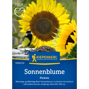Kiepenkerl Sonnenblume 'Picknic' mit goldgelben Blüten und einer Kohlmeise, Blumensamen für den Garten.