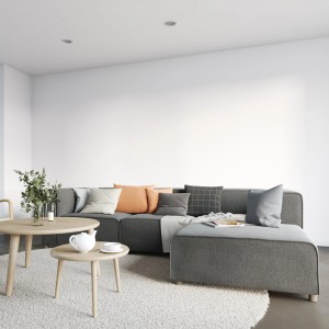 Wohnraum mit weiß gestrichener Wand mit Alpina Rollputz und grauer Couch mit Kissen.