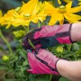 Pinke Floristikhandschuhe mit PVC-Benoppung bei der Blumenpflege im Garten.