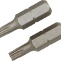 Zwei LUX Standard Bits Classic TX20 aus robustem Stahl für Schraubarbeiten.