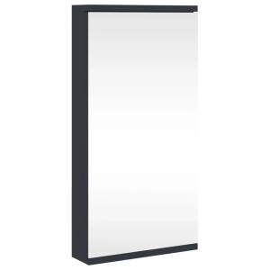 Grauer vidaXL Eck-Spiegelschrank, 30x24x60 cm, für Badezimmer und Gäste-WC.