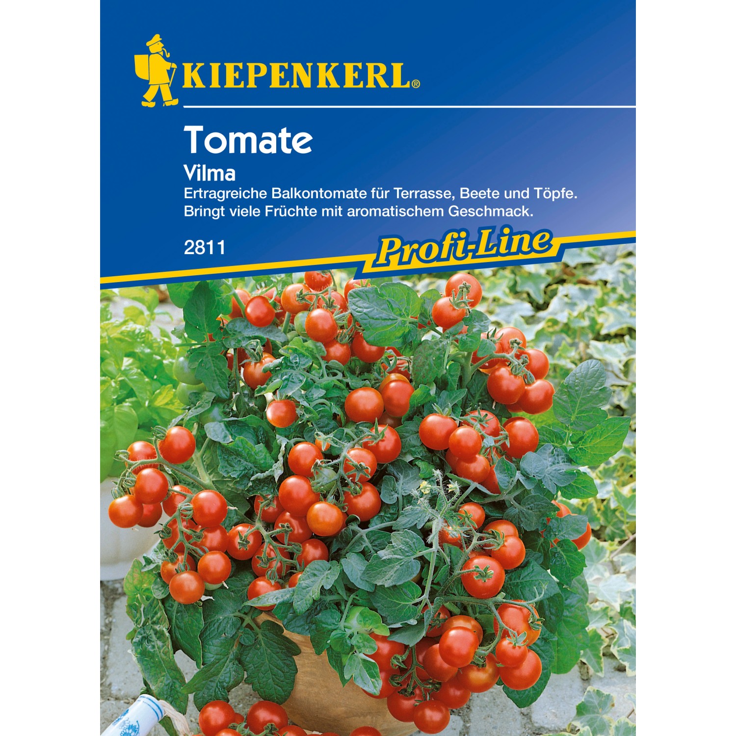 Balkontomaten Vilma kaufen bei OBI